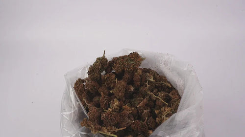 Fleurs CBD - Purple