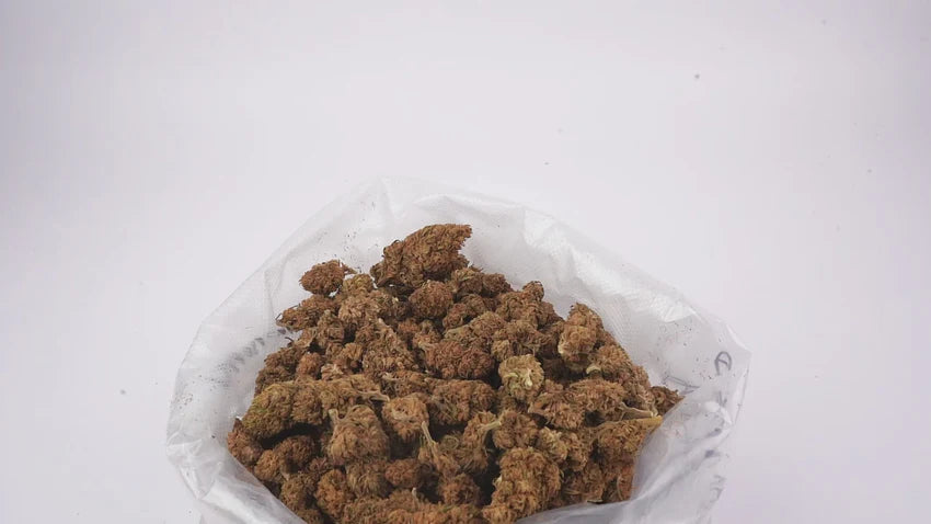 Fleurs CBG – Strawberry | Outdoor